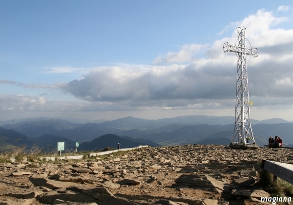 tarnica